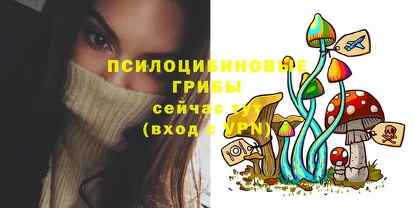гидропоника Балабаново